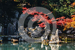 Tenryu-ji temple and Sogenchi garden with autumn season colorful photo